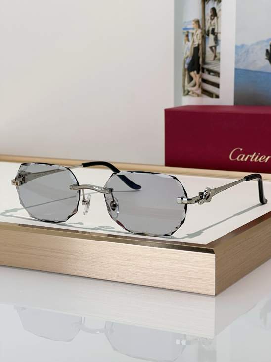 Picture of Cartier Sunglasses _SKUfw79279934fw